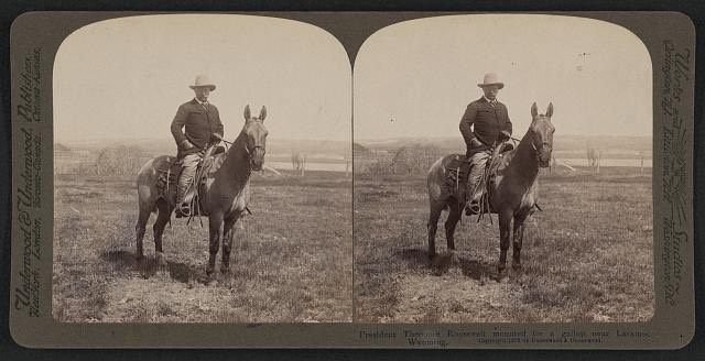 Roosevelt Mounted for Ride